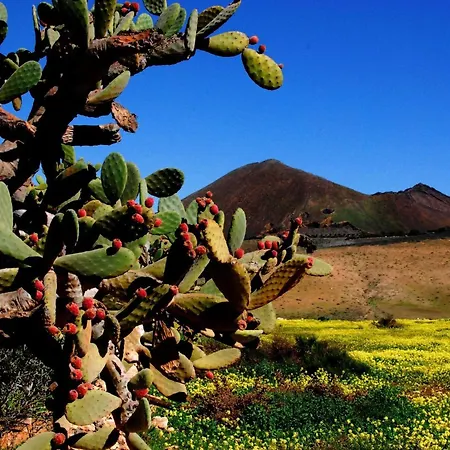 Maritim Und Modern Eingerichtete By Interhome *