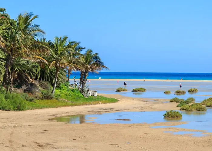Lägenhet Maritim Und Modern Eingerichtete By Interhome La Pared (Las Palmas)