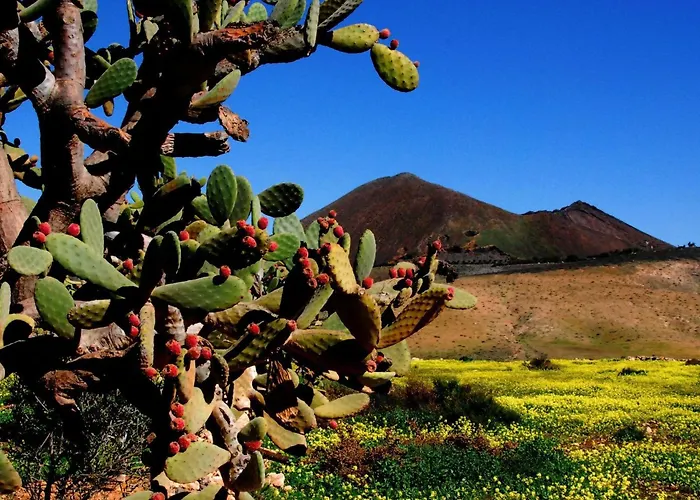 Maritim Und Modern Eingerichtete By Interhome 公寓 *