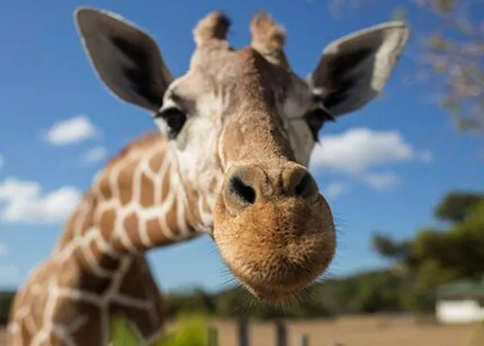 Maritim Und Modern Eingerichtete By Interhome Апартаменты *